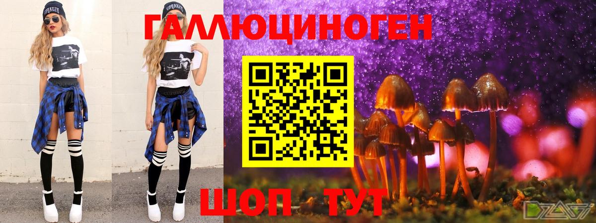 Галлюциногенные грибы Psilocybe Полевской