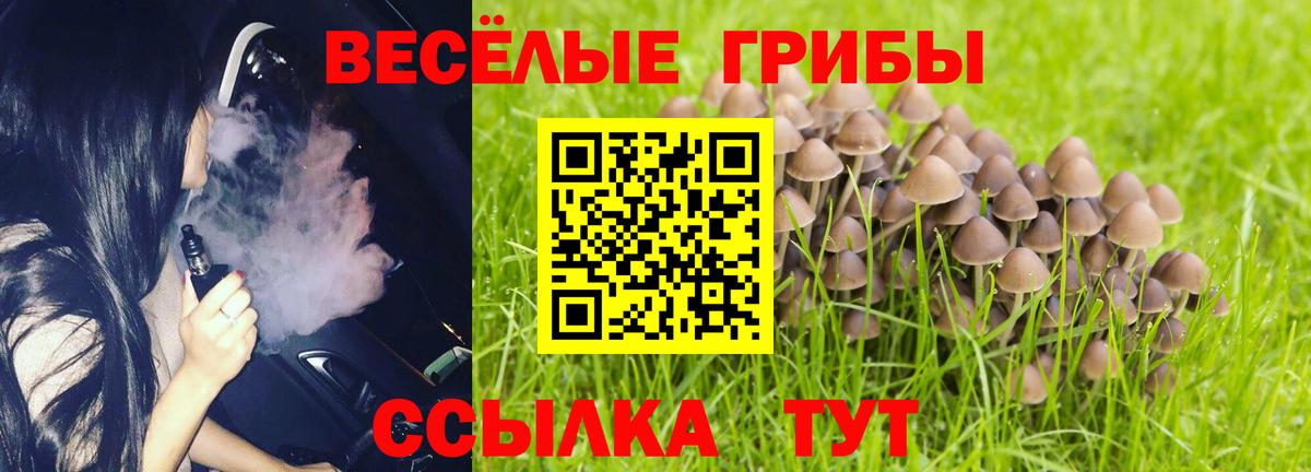 Галлюциногенные грибы Psilocybe  Вход с VPN  Галлюциногенные грибы мухоморы  Полевской 